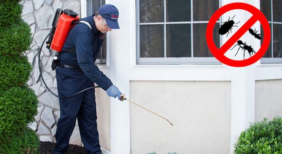 Amasra Böcek ve Haşere İlaçlama böcek ilaçlama ve haşere kontrolü — ilaclama-tr.com